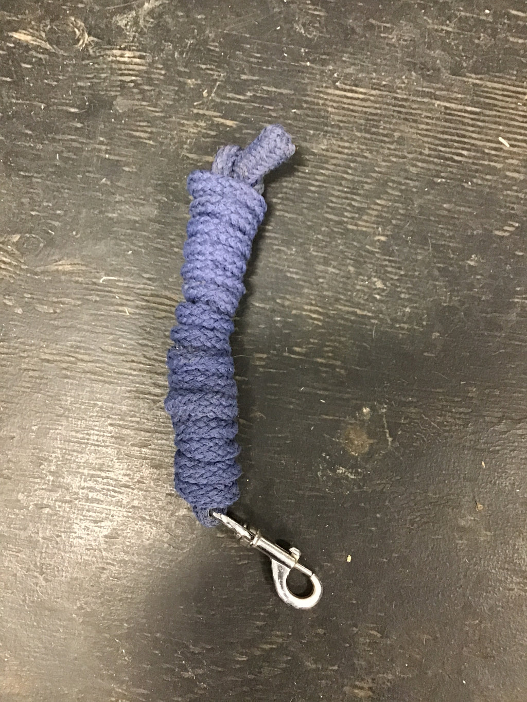 Blue lead rope