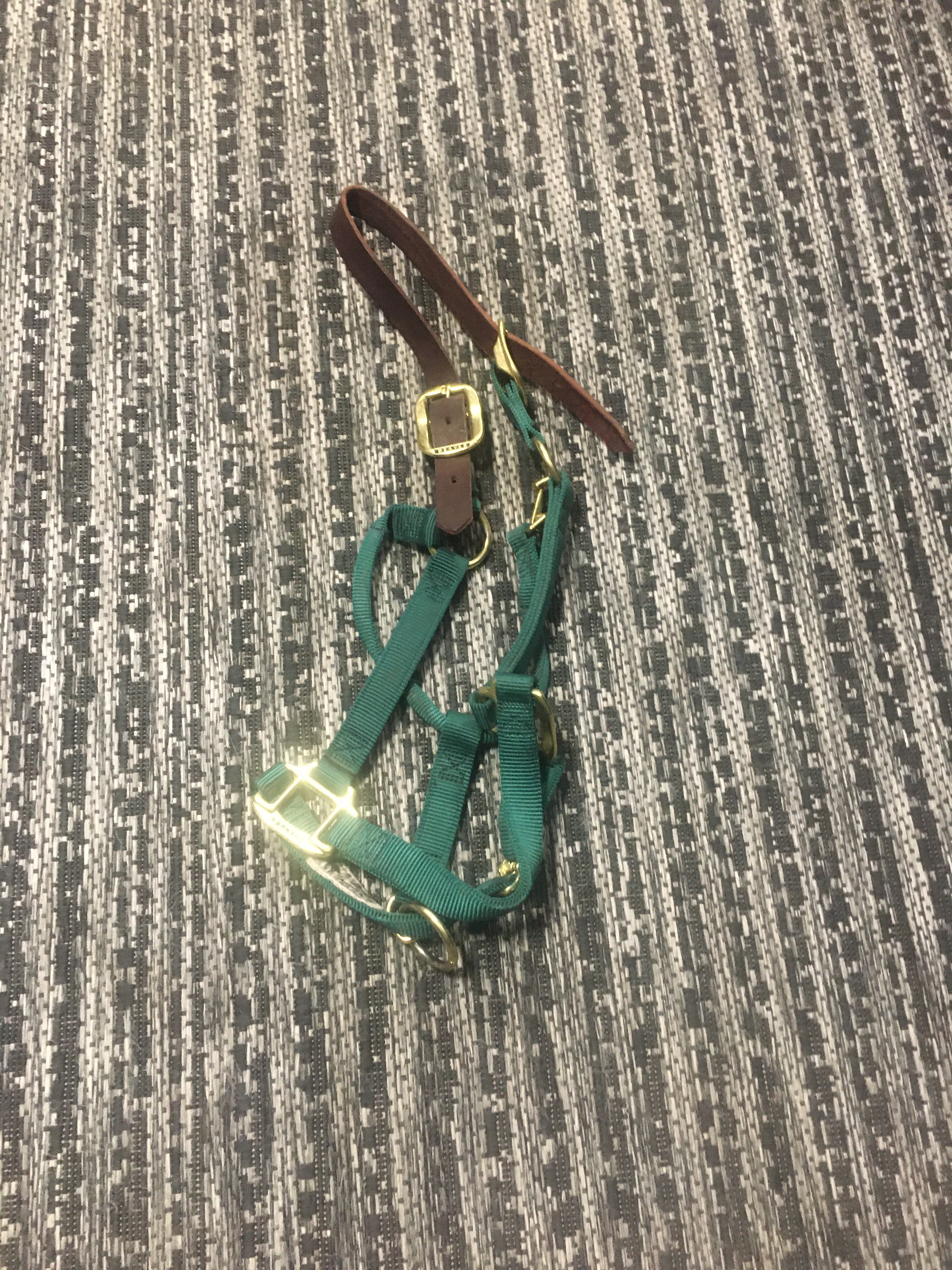 Breakaway halters