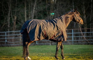 Champion High Neck Rain Sheet