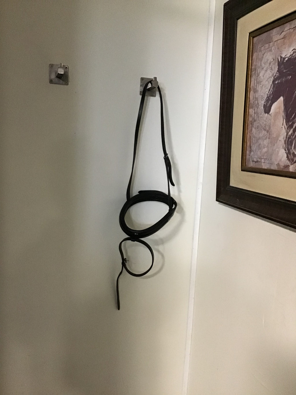 Dressage noseband (full)