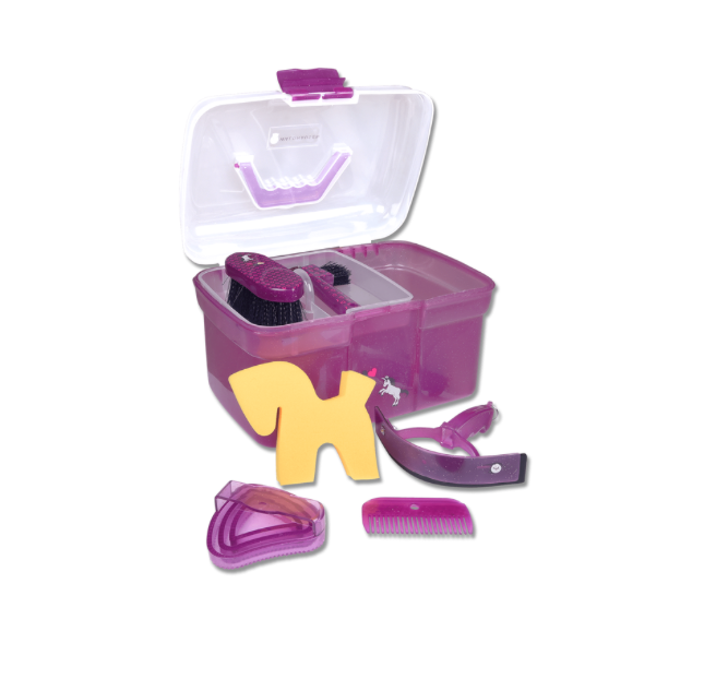 Lucky Unicorn Grooming Box