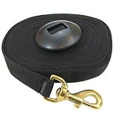 30' Silverline Nylon Lunge Line