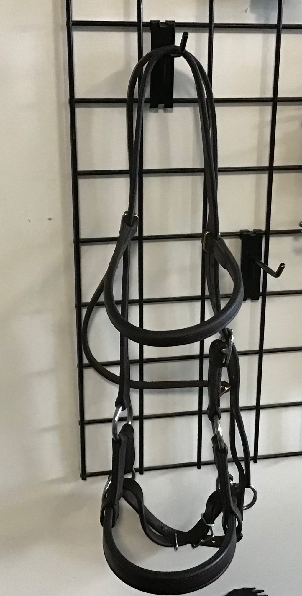 Bitless Headstall