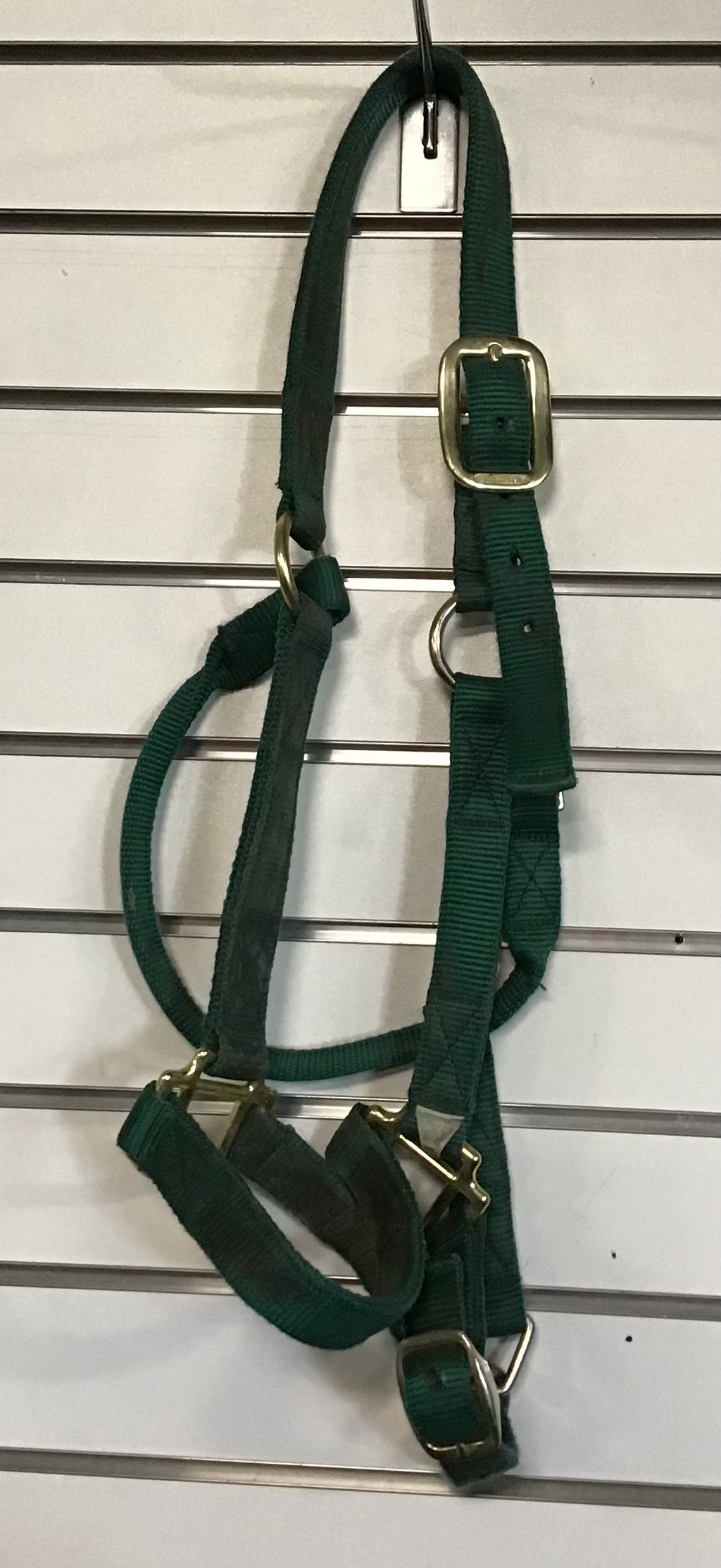 Green nylon halter (cob)