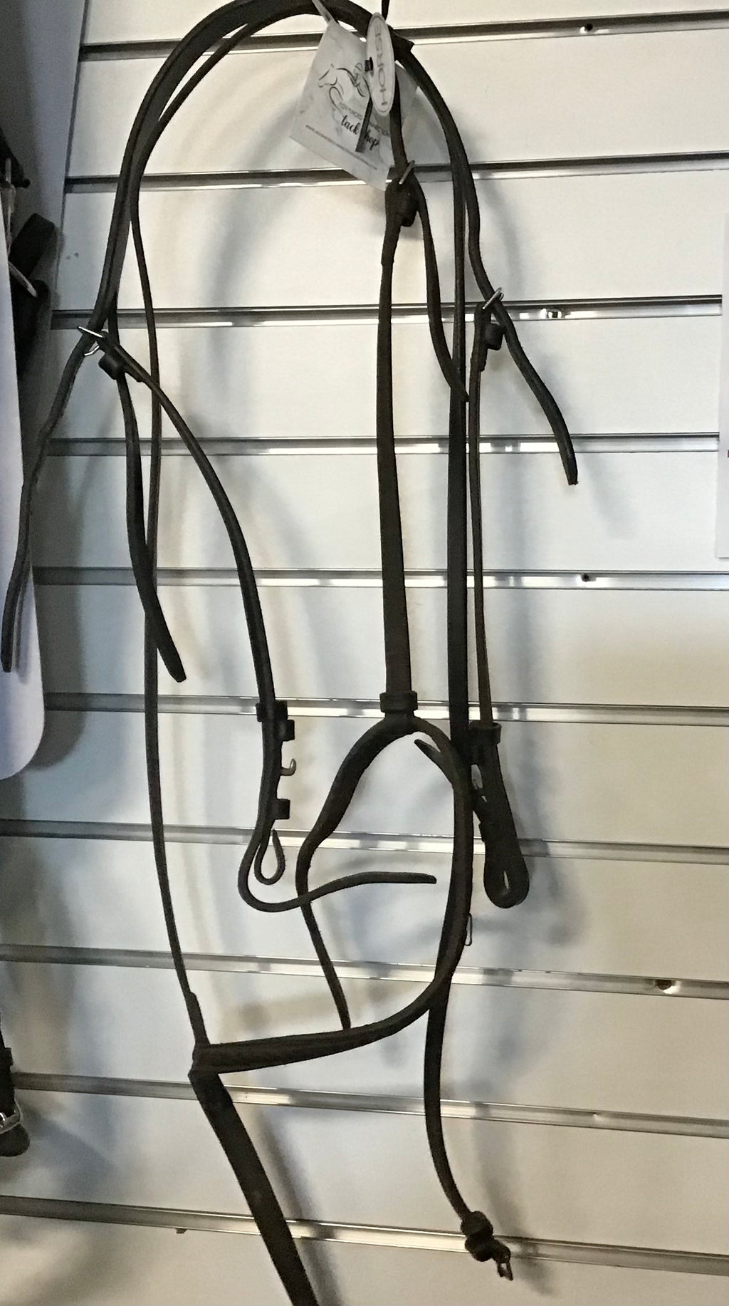 Horse bridle missing browband